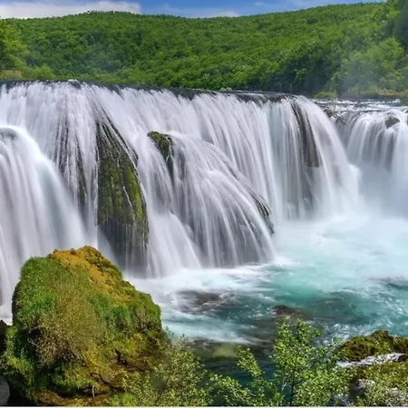 Sabina * Bosanska Krupa